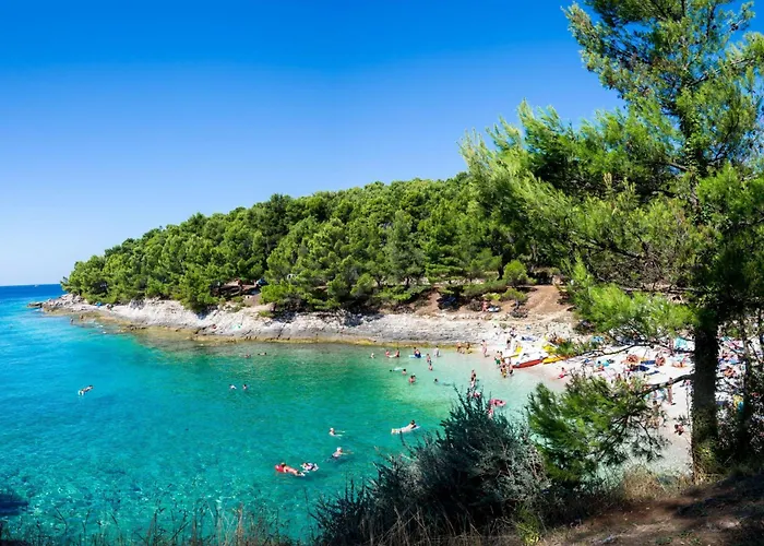 Lägenhet Akidado - Happy *